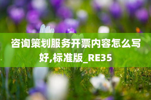 咨询策划服务开票内容怎么写好,标准版_RE35