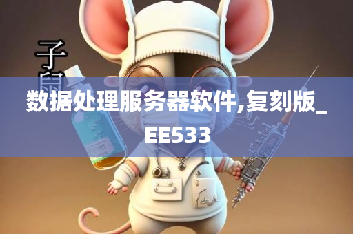 数据处理服务器软件,复刻版_EE533