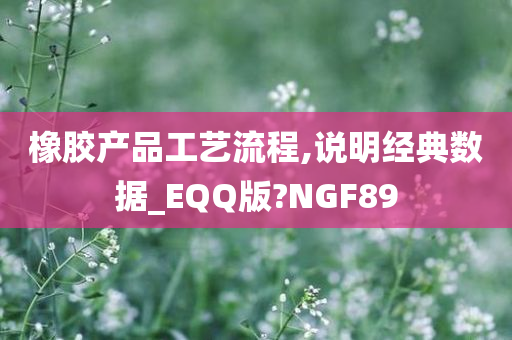 橡胶产品工艺流程,说明经典数据_EQQ版?NGF89