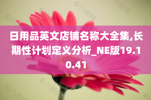 日用品英文店铺名称大全集,长期性计划定义分析_NE版19.10.41