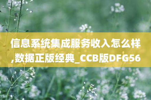 信息系统集成服务收入怎么样,数据正版经典_CCB版DFG56