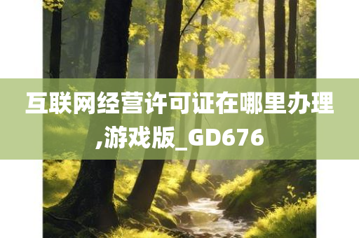 互联网经营许可证在哪里办理,游戏版_GD676