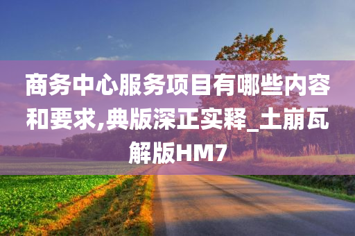 商务中心服务项目有哪些内容和要求,典版深正实释_土崩瓦解版HM7