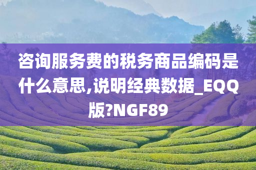 咨询服务费的税务商品编码是什么意思,说明经典数据_EQQ版?NGF89