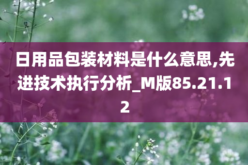 日用品包装材料是什么意思,先进技术执行分析_M版85.21.12