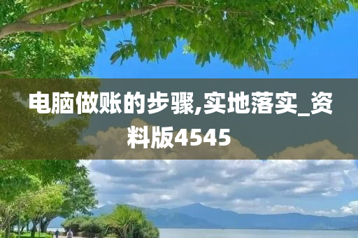 电脑做账的步骤,实地落实_资料版4545