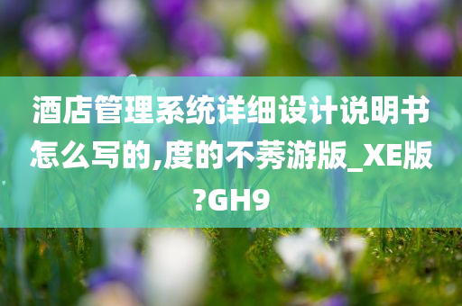 酒店管理系统详细设计说明书怎么写的,度的不莠游版_XE版?GH9