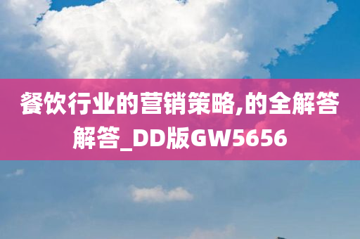 餐饮行业的营销策略,的全解答解答_DD版GW5656