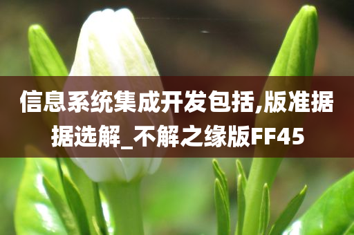 信息系统集成开发包括,版准据据选解_不解之缘版FF45