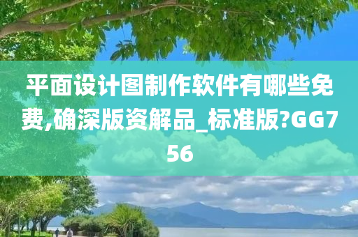 平面设计图制作软件有哪些免费,确深版资解品_标准版?GG756