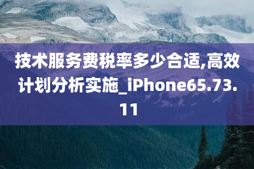 技术服务费税率多少合适,高效计划分析实施_iPhone65.73.11