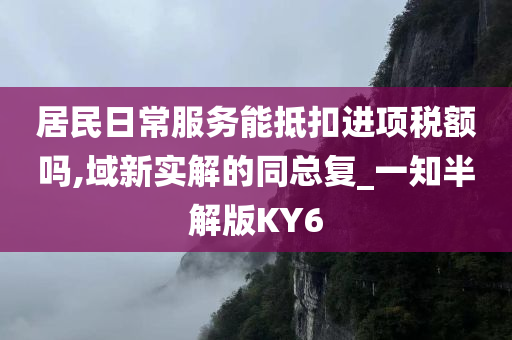 居民日常服务能抵扣进项税额吗,域新实解的同总复_一知半解版KY6