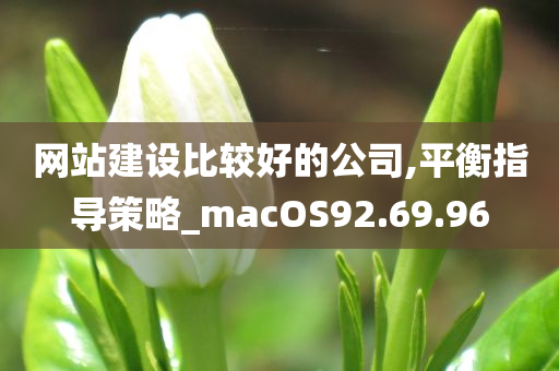 网站建设比较好的公司,平衡指导策略_macOS92.69.96