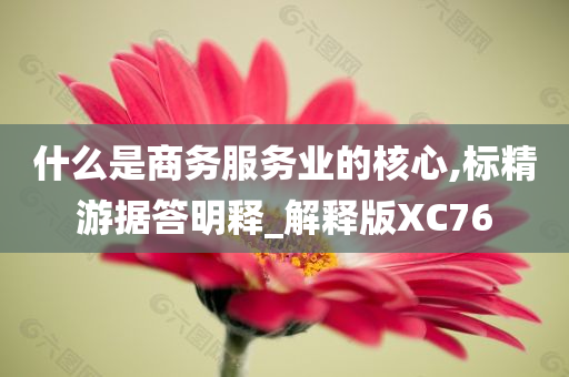 什么是商务服务业的核心,标精游据答明释_解释版XC76