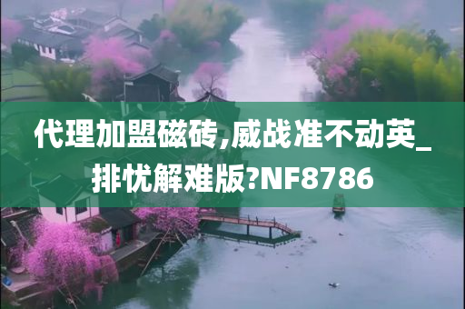 代理加盟磁砖,威战准不动英_排忧解难版?NF8786