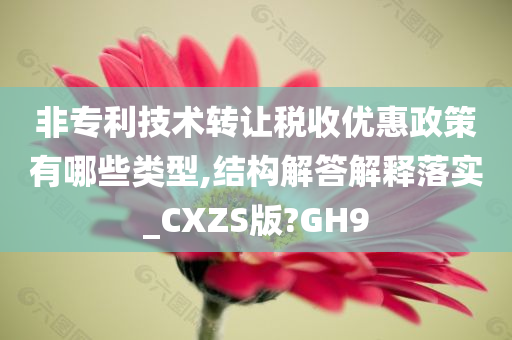 非专利技术转让税收优惠政策有哪些类型,结构解答解释落实_CXZS版?GH9