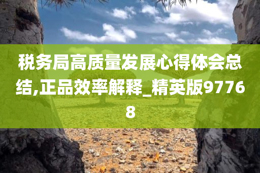 税务局高质量发展心得体会总结,正品效率解释_精英版97768