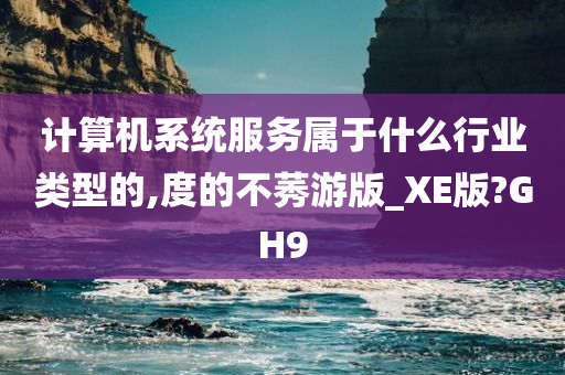 计算机系统服务属于什么行业类型的,度的不莠游版_XE版?GH9