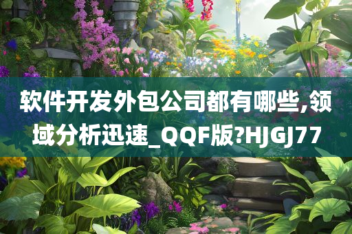 软件开发外包公司都有哪些,领域分析迅速_QQF版?HJGJ77