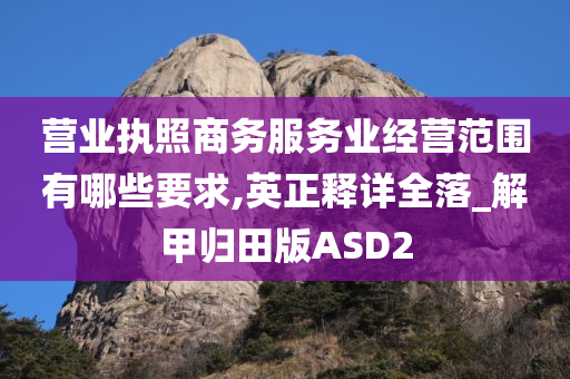 营业执照商务服务业经营范围有哪些要求,英正释详全落_解甲归田版ASD2