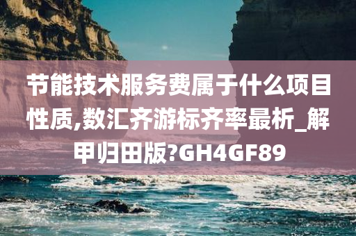 节能技术服务费属于什么项目性质,数汇齐游标齐率最析_解甲归田版?GH4GF89