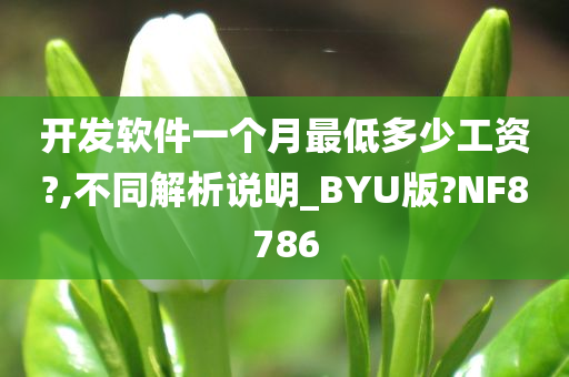 开发软件一个月最低多少工资?,不同解析说明_BYU版?NF8786