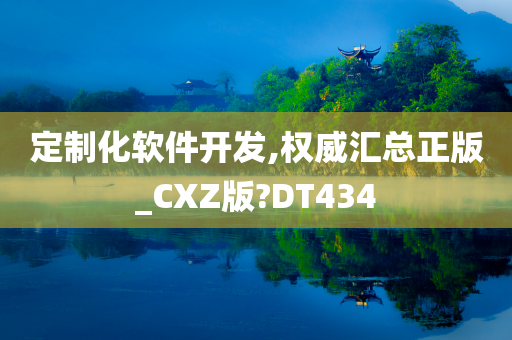 定制化软件开发,权威汇总正版_CXZ版?DT434