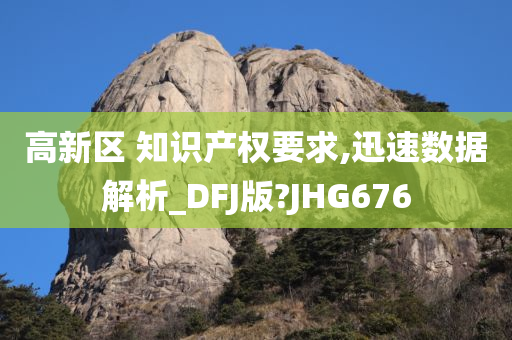 高新区 知识产权要求,迅速数据解析_DFJ版?JHG676