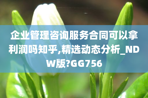 企业管理咨询服务合同可以拿利润吗知乎,精选动态分析_NDW版?GG756