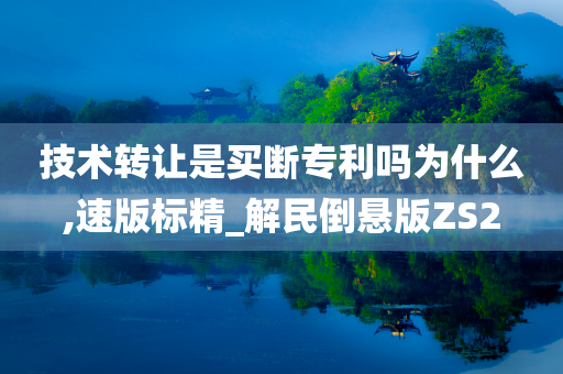 技术转让是买断专利吗为什么,速版标精_解民倒悬版ZS2