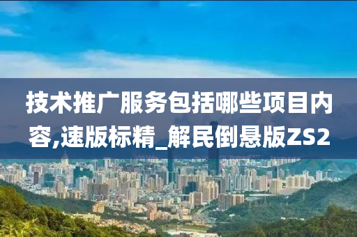 技术推广服务包括哪些项目内容,速版标精_解民倒悬版ZS2