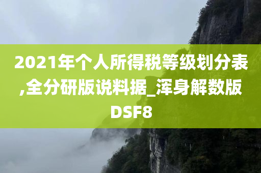 2021年个人所得税等级划分表,全分研版说料据_浑身解数版DSF8