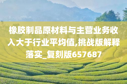 橡胶制品原材料与主营业务收入大于行业平均值,挑战版解释落实_复刻版657687