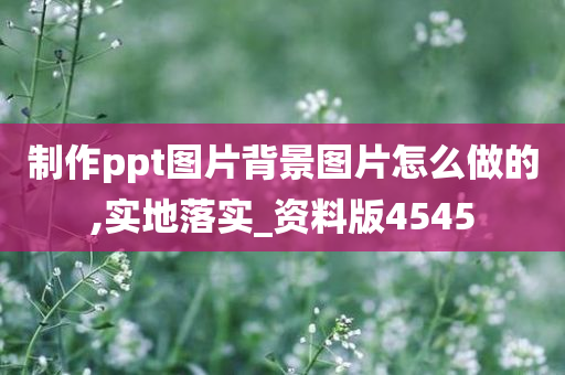 制作ppt图片背景图片怎么做的,实地落实_资料版4545