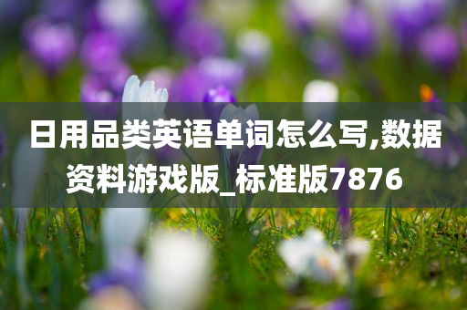 日用品类英语单词怎么写,数据资料游戏版_标准版7876