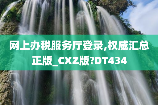 网上办税服务厅登录,权威汇总正版_CXZ版?DT434