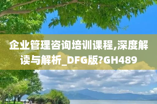 企业管理咨询培训课程,深度解读与解析_DFG版?GH489