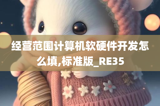 经营范围计算机软硬件开发怎么填,标准版_RE35