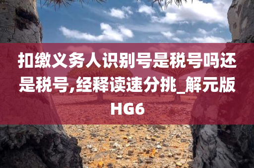 扣缴义务人识别号是税号吗还是税号,经释读速分挑_解元版HG6