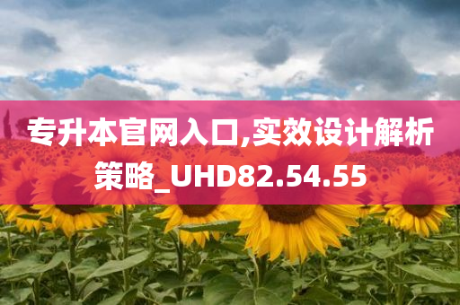 专升本官网入口,实效设计解析策略_UHD82.54.55