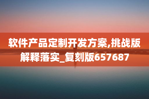 软件产品定制开发方案,挑战版解释落实_复刻版657687