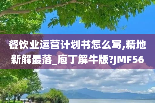 餐饮业运营计划书怎么写,精地新解最落_庖丁解牛版?JMF56