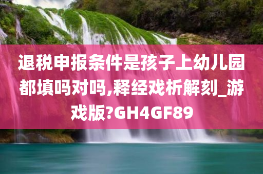 退税申报条件是孩子上幼儿园都填吗对吗,释经戏析解刻_游戏版?GH4GF89