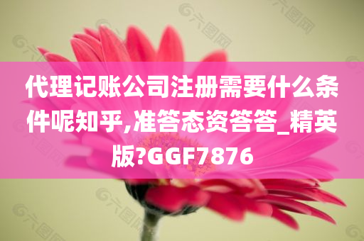 代理记账公司注册需要什么条件呢知乎,准答态资答答_精英版?GGF7876