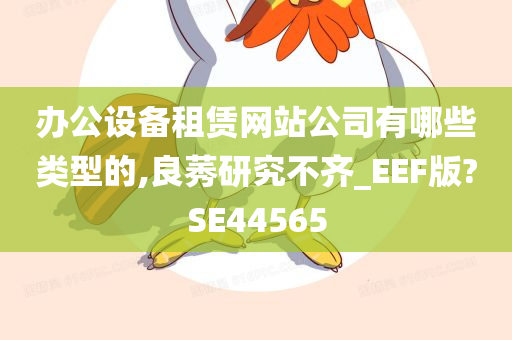 办公设备租赁网站公司有哪些类型的,良莠研究不齐_EEF版?SE44565