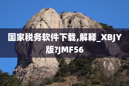 国家税务软件下载,解释_XBJY版?JMF56