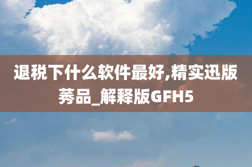 退税下什么软件最好,精实迅版莠品_解释版GFH5