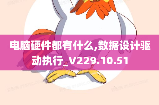 电脑硬件都有什么,数据设计驱动执行_V229.10.51