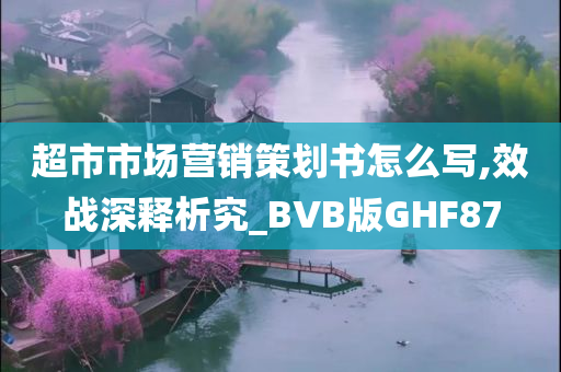 超市市场营销策划书怎么写,效战深释析究_BVB版GHF87