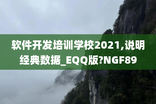 软件开发培训学校2021,说明经典数据_EQQ版?NGF89